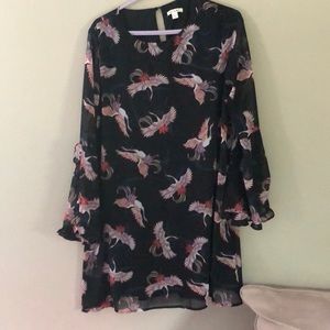 Perfect condition! Black Floral women’s dress- L